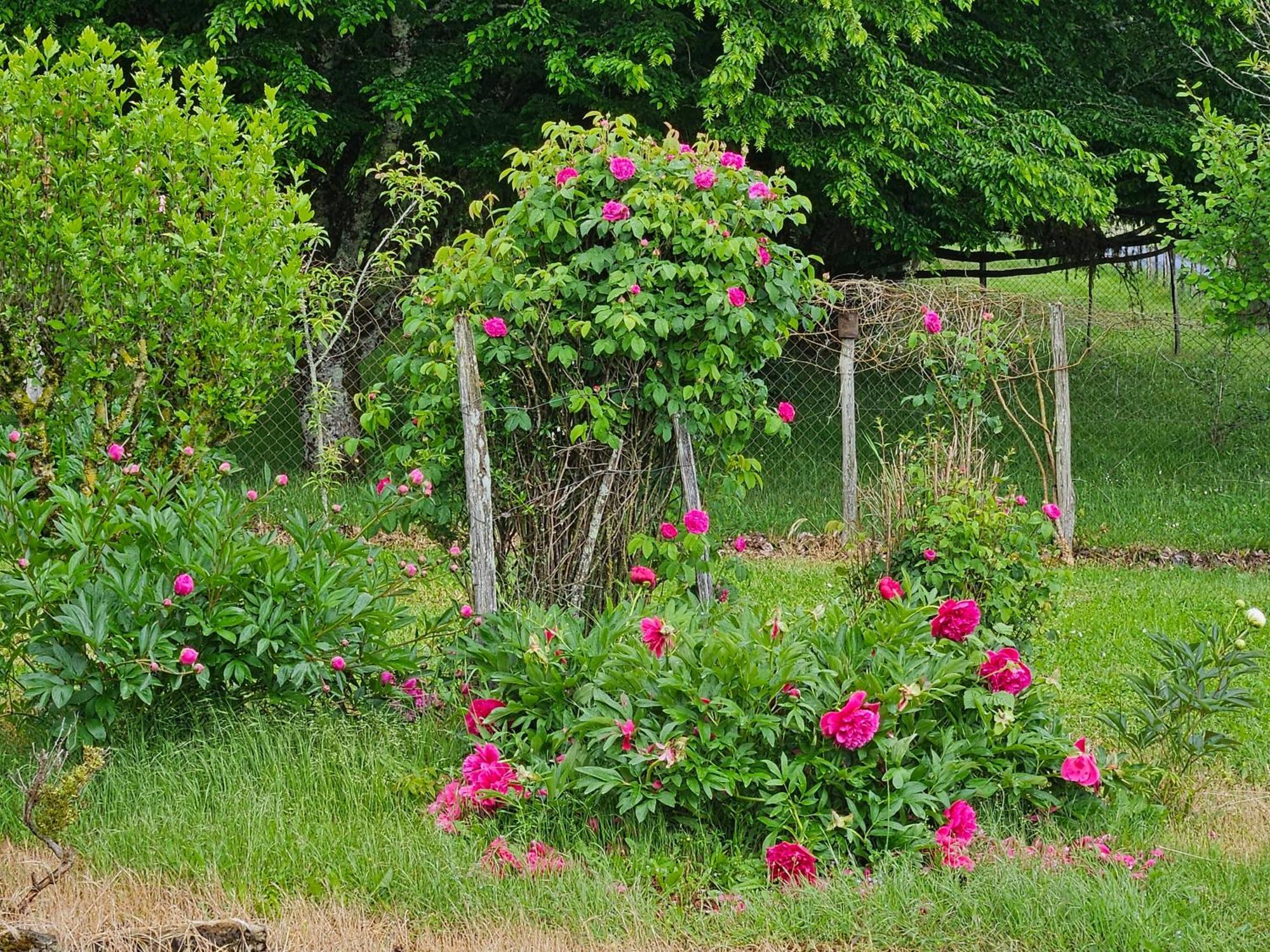 Maison Perigourdine Au Calme Grezes (Dordogne) Exterior foto
